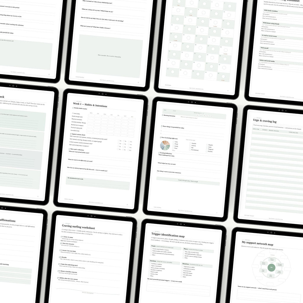 Promotional infographic for Sobriety Journal by Page Collective