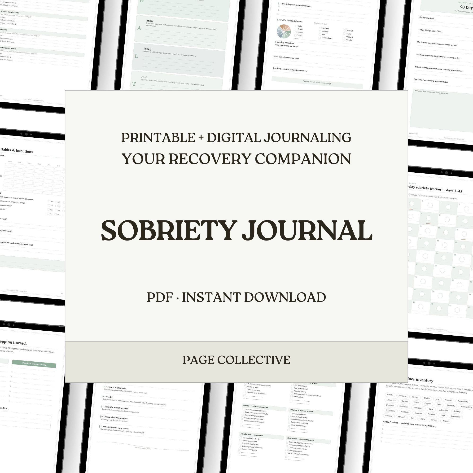 Promotional infographic for Sobriety Journal by Page Collective